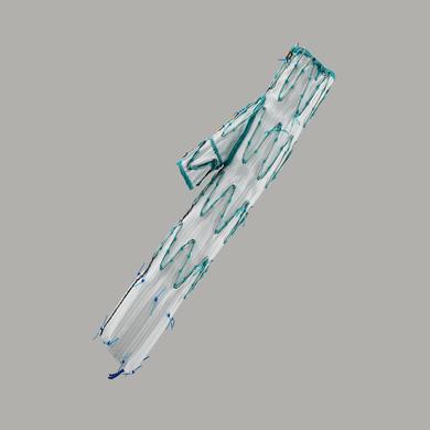 Zenith® Branch Endovascular Graft- Iliac Bifurcation