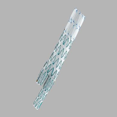 Zenith® Universal Distal Body Endovascular Graft