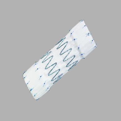 Zenith TX2® TAA Endovascular Graft with Pro-Form® Distal Extensions