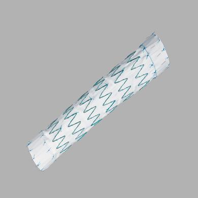 Zenith TX2® TAA Endovascular Graft with Pro-Form® Proximal 4 mm Tapered Components