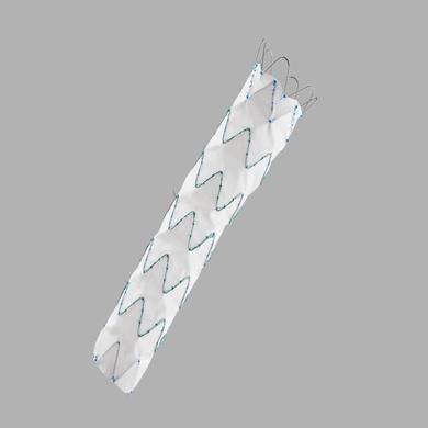 Zenith Alpha™ Thoracic Endovascular Graft Proximal 4 mm Tapered Components