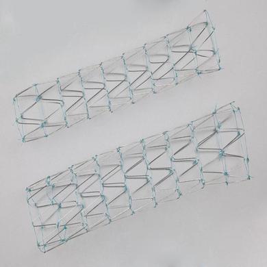Zenith® Dissection Endovascular Stent