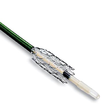 Xpert Pro Peripheral Self Expanding Stent System