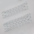 Zenith® Dissection Endovascular Stent in anatomy