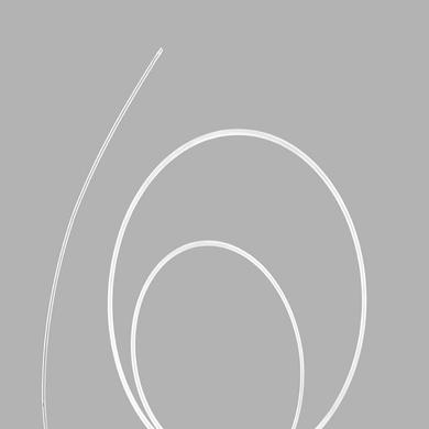 CrossCath® Support Catheter