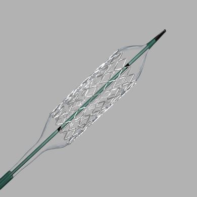 Formula™ 414 RX Renal Balloon-Expandable Stent