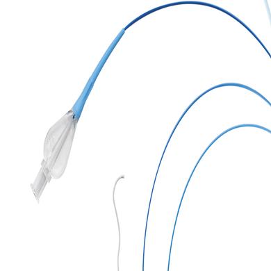 Merit Maestro® Microcatheters