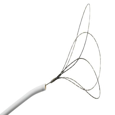 EN Snare® Endovascular Snare System